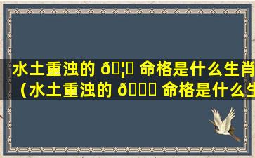 水土重浊的 🦅 命格是什么生肖（水土重浊的 🍀 命格是什么生肖呢）